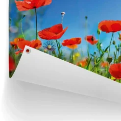 Tuindecoratie-Reinders Tuinposter Zomerbloemen - 60 x 80cm - Rood