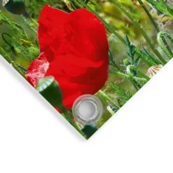 Tuindecoratie-Reinders Tuinposter Zomerbloemen - 60 x 80cm - Rood