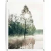 Tuindecoratie-Reinders Tuinposter Zon door de bomen - 80 x 60cm - Groen