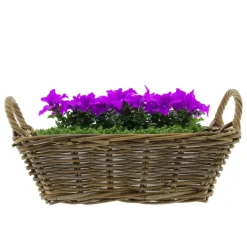 Opbergmanden-Van der Leeden Mand met hengsels - bruin - 42 x 27 x 14 cm -rotan