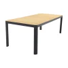 Van der Garde Tuinmeubelen - Premium Vdgarde Premium - General tuintafel 220x100cm.