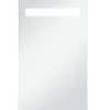 Spiegelkasten-vidaXL - Badkamerspiegel - Zilver - Glas - 60 x 100 cm