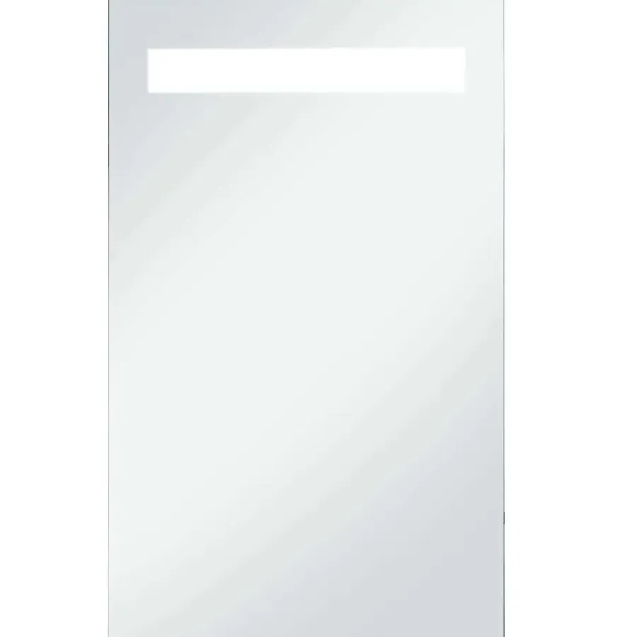 Spiegelkasten-vidaXL - Badkamerspiegel - Zilver - Glas - 60 x 100 cm