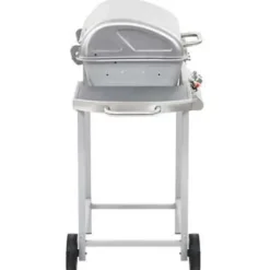 vidaXL - Barbecue - Zilver - Roestvrij staal