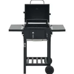 vidaXL - Barbecue - Zwart - Staal