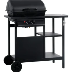 Barbecues En Accessoires-vidaXL - Barbecue - Zwart - Staal