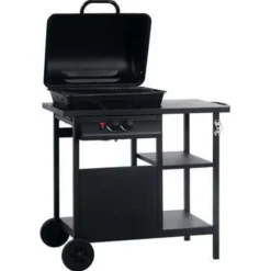 Barbecues En Accessoires-vidaXL - Barbecue - Zwart - Staal