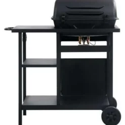 Barbecues En Accessoires-vidaXL - Barbecue - Zwart - Staal