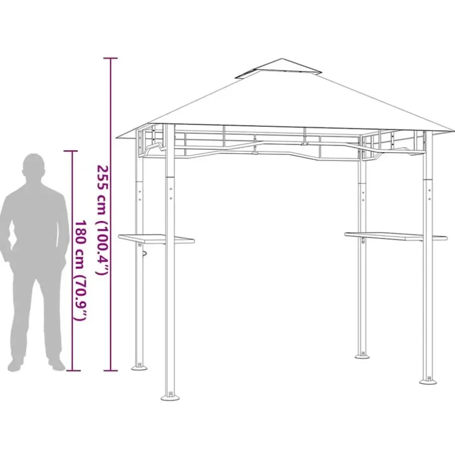 vidaXL - Barbecue Paviljoen - Antraciet - Staal