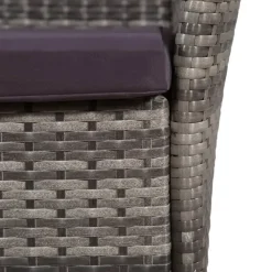 Bistro- & Balkonsets-vidaXL - Bistroset - Grijs - Poly rattan