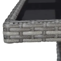 Bistro- & Balkonsets-vidaXL - Bistroset - Grijs - Poly rattan
