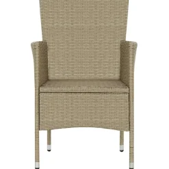 vidaXL - Buitenstoel - Beige - Poly rattan - 2 stuks