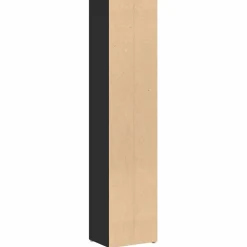 vidaXL - Cd-kast - Zwart - Bewerkt hout - 2 stuks