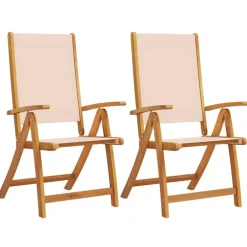 vidaXL - Inklapbare tuinstoelen - Bruin - Acaciahout - 2 stuks