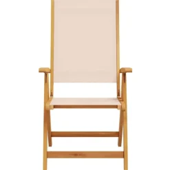 vidaXL - Inklapbare tuinstoelen - Bruin - Acaciahout - 2 stuks