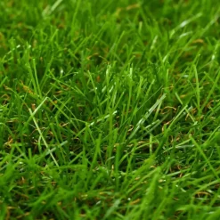 Kunstgras|Kunstgras-vidaXL - Kunstgras - Groen - Polypropyleen - 1 x 15 m