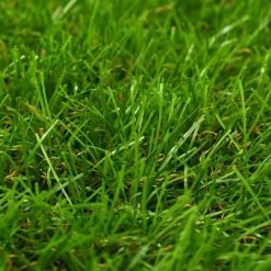 Kunstgras|Kunstgras-vidaXL - Kunstgras - Groen - Polypropyleen - 1 x 8 m