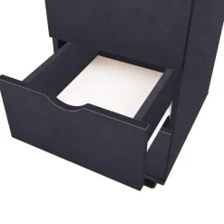 Ladeblokken-vidaXL - Ladekast - Zwart - Bewerkt hout