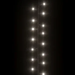 vidaXL - Led-slinger - Cold white and dark green - 25 m