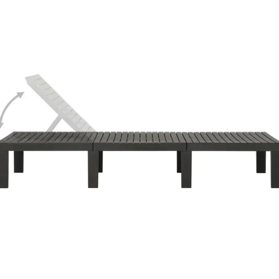 Ligbedden-vidaXL - Ligstoel - Antraciet - Kunststof