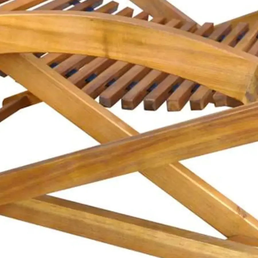 Ligbedden-vidaXL - Ligstoel - Bruin - Hout