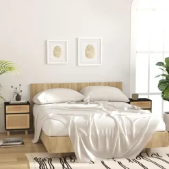 Nachtkastjes|Nachtkastjes-vidaXL - Nachtkastjes - Zwart - Grenenhout en natuurlijk rattan - 2 stuks