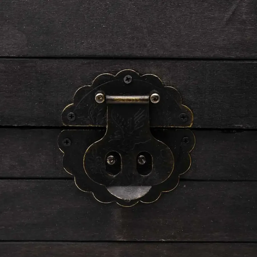 Opbergboxen-vidaXL - Opbergkast - Zwart - Hout