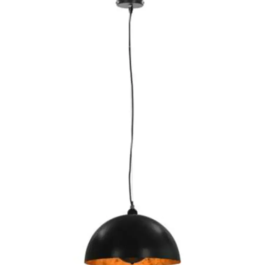 vidaXL - Plafondlamp - Zwart - Metaal - 40 cm - 2 stuks