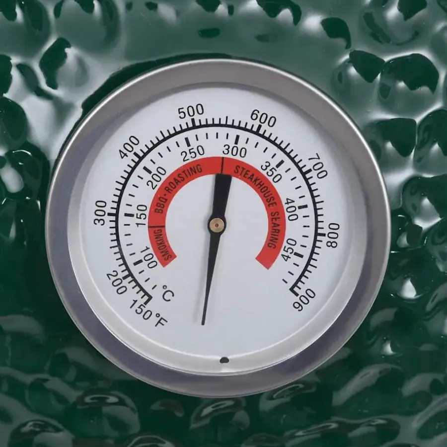 vidaXL - Rokersbarbecue - Groen - Keramiek