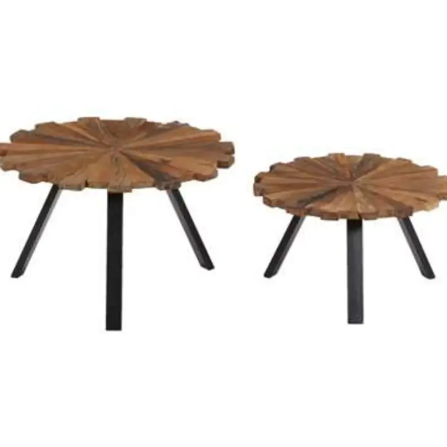 vidaXL - Salontafel - Bruin - Hout