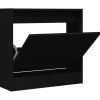Schoenenkasten-vidaXL - Schoenenkast 2 paar met 1 klep - Zwart - Bewerkt hout - 60x21x57 cm