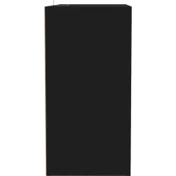vidaXL - Schoenenkast - Zwart - Bewerkt hout - 60 x 35 x 70 cm