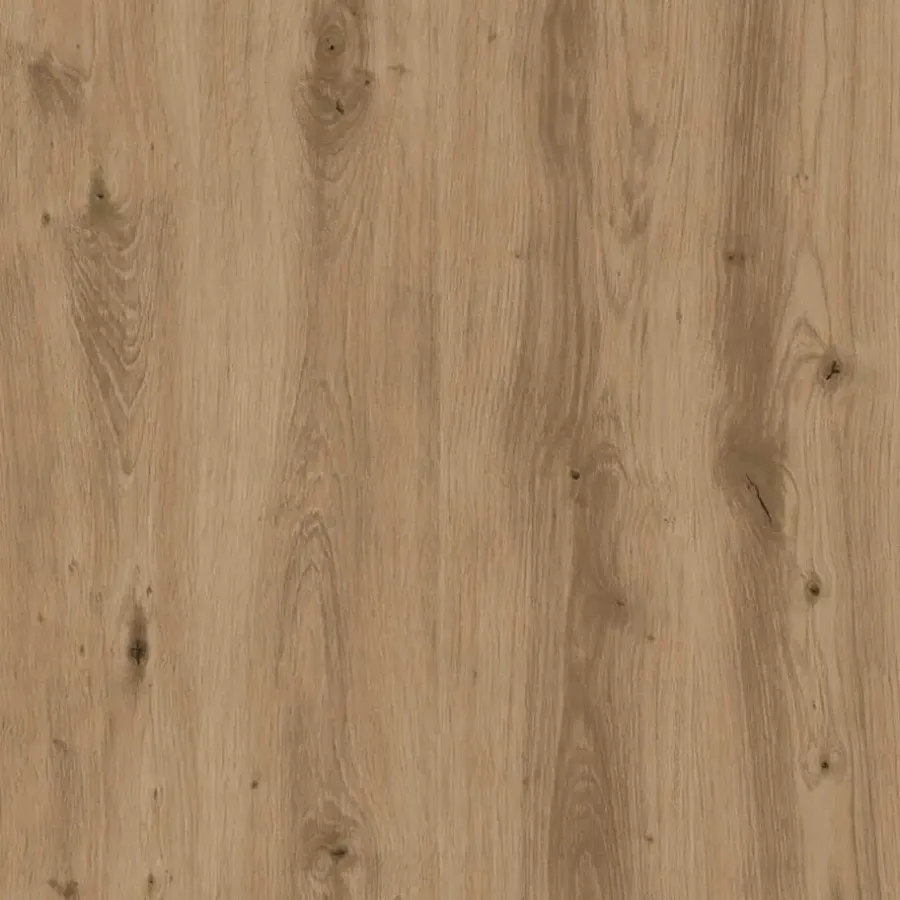 vidaXL - Schoenenkast met 1 lade 2 deuren - Artisan eiken - Hout - 60x35x84 cm