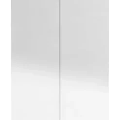 Spiegelkasten-vidaXL - Spiegelkast - Zwart - MDF