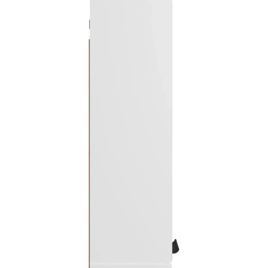 Spiegelkasten-vidaXL - Spiegelkast met plank - Wit - Bewerkt hout en acryl - 64x20x67 cm