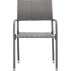 vidaXL - Stapelstoelen - Grijs - Poly rattan - 2 stuks