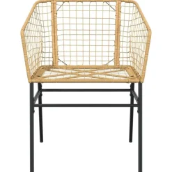 vidaXL - Terrasstoel - Bruin - Poly rattan en staal - 2 stuks