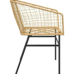 vidaXL - Terrasstoel - Bruin - Poly rattan en staal - 2 stuks