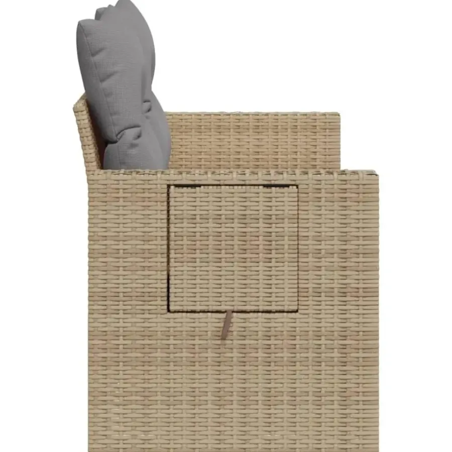 vidaXL - Tuinbank 2 -zits - Beige - Poly rattan - Met kussens
