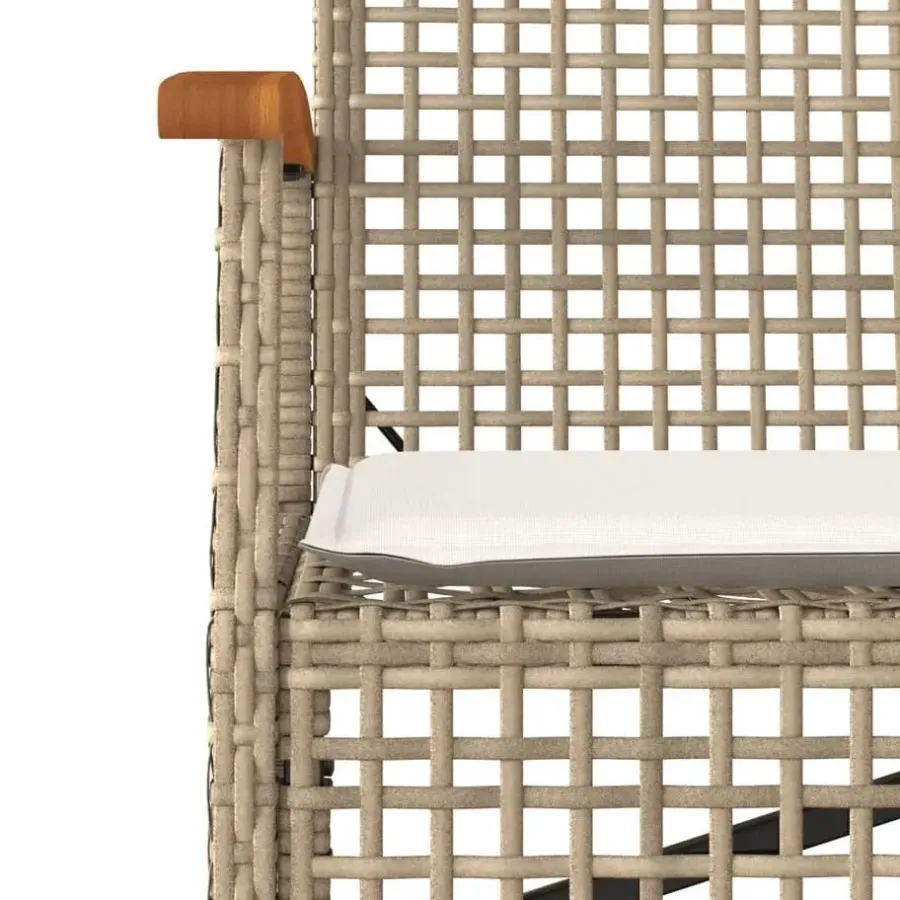 Loungebanken-vidaXL - Tuinbank met kussen - Beige - Poly rattan en acaciahout - 108x57x85 cm