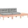 Loungebanken-vidaXL - Tuinbank 2-zits - Bruin - Hout - Met kussens en voetenbank