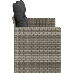 Loungebanken-vidaXL - Tuinbank 2-zits - Grijs - Poly rattan - Met kussens