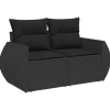 Loungebanken-vidaXL - Tuinbank 2-zits - Zwart - Poly rattan - Met kussens