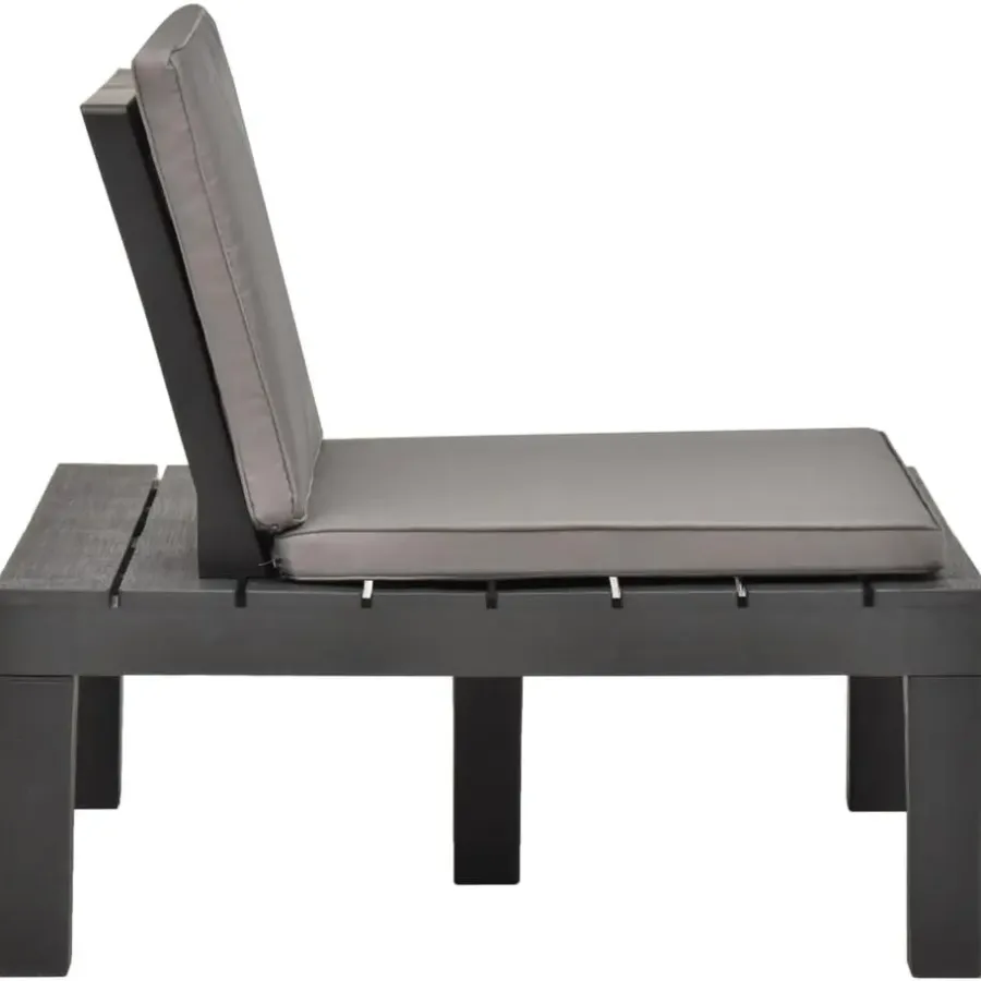 Loungeset Elementen-vidaXL - Tuinloungestoel - Antraciet - Kunststof