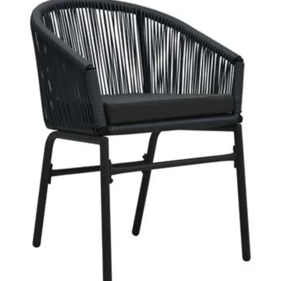 Bistro- & Balkonsets-vidaXL - Tuinset - Zwart - Polyetheen