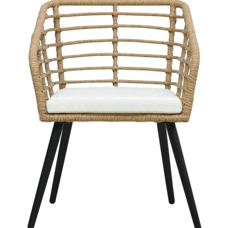Tuinstoelen-vidaXL - Tuinstoel - Bruin - Poly rattan - 2 stuks