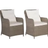 vidaXL - Tuinstoel - Bruin - Poly rattan - 2 stuks