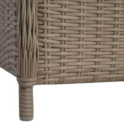 vidaXL - Tuinstoel - Bruin - Poly rattan - 2 stuks