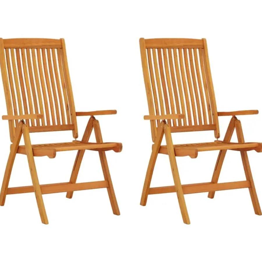 Tuinstoelen-vidaXL - Tuinstoel - Bruin - Eucalyptushout - 2 stuks - Inklapbaar