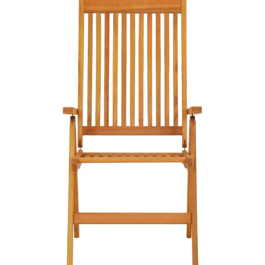 Tuinstoelen-vidaXL - Tuinstoel - Bruin - Eucalyptushout - 2 stuks - Inklapbaar